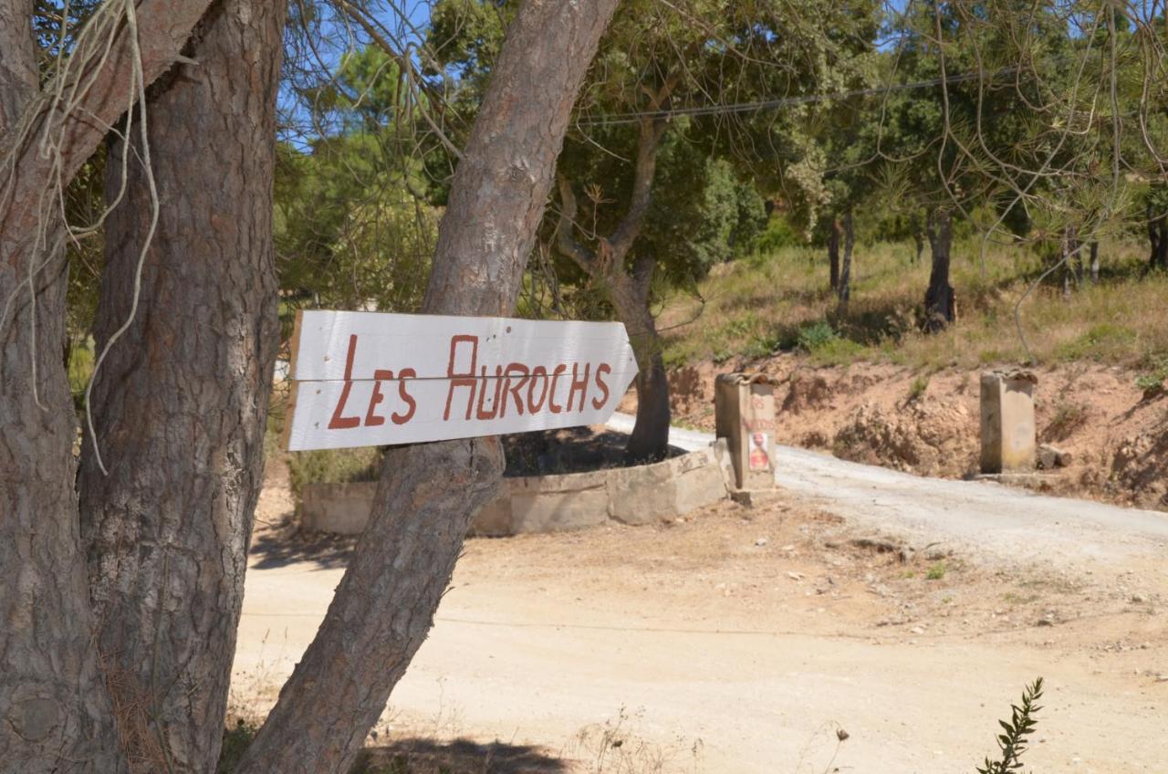 Les Aurochs Bed and Breakfast Grimaud Εξωτερικό φωτογραφία