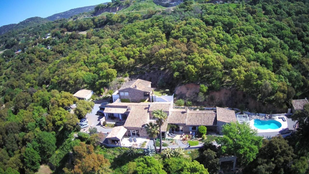 Les Aurochs Bed and Breakfast Grimaud Εξωτερικό φωτογραφία