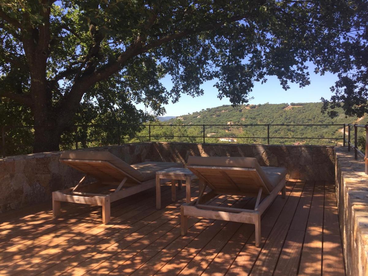 Les Aurochs Bed and Breakfast Grimaud Εξωτερικό φωτογραφία