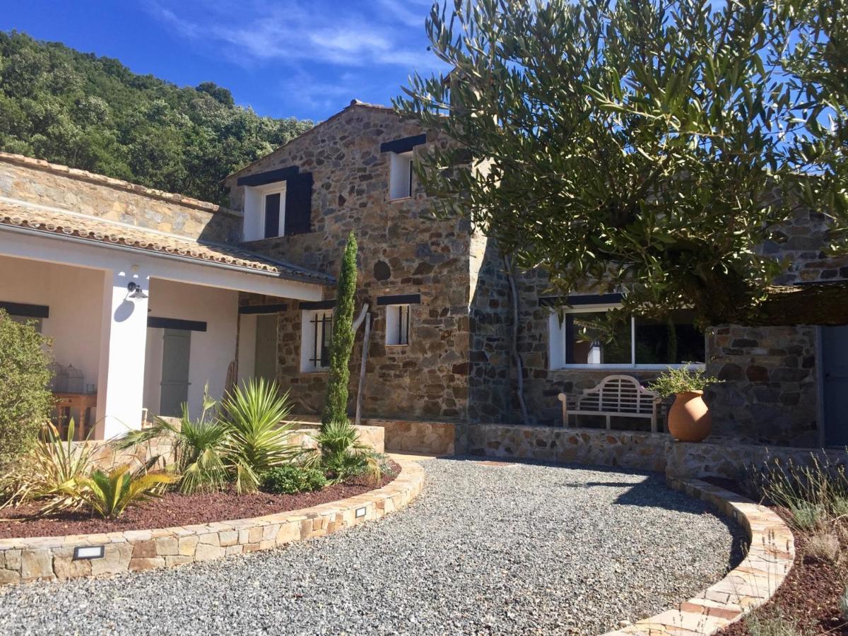 Les Aurochs Bed and Breakfast Grimaud Εξωτερικό φωτογραφία