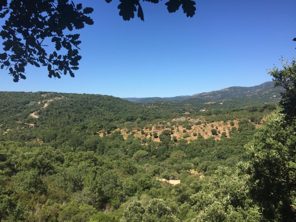 Les Aurochs Bed and Breakfast Grimaud Εξωτερικό φωτογραφία