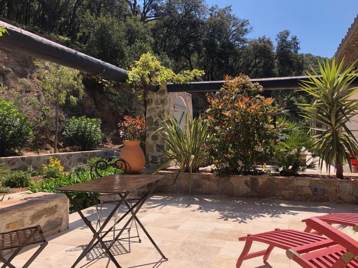 Les Aurochs Bed and Breakfast Grimaud Εξωτερικό φωτογραφία